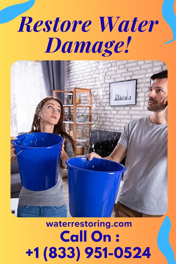 water restoration Allied Water Mitigation Contractors Mount Vernon