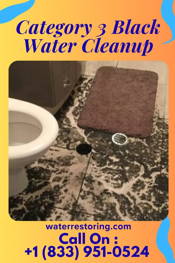 Category 3 Black Water Cleanup in Mount Vernon, NY