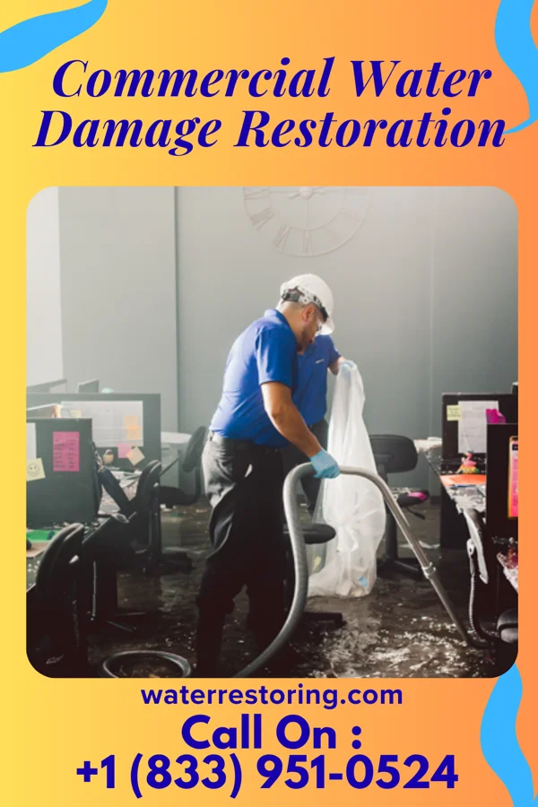 Commercial Water Damage Restoration in Mount Vernon, NY