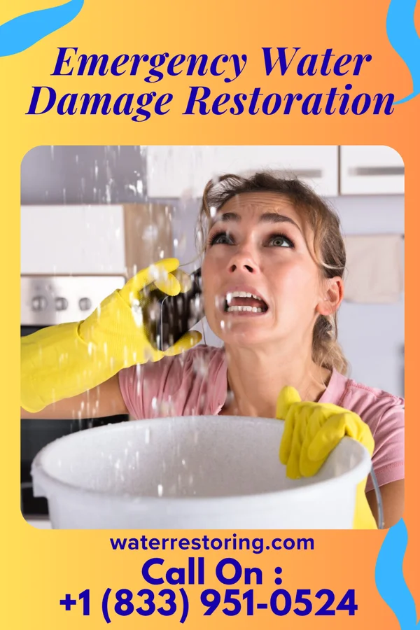 Emergency Water Damage Restoration in Mount Vernon, NY