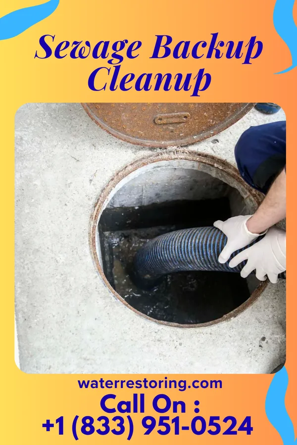 Sewage Backup Cleanup in Mount Vernon, NY