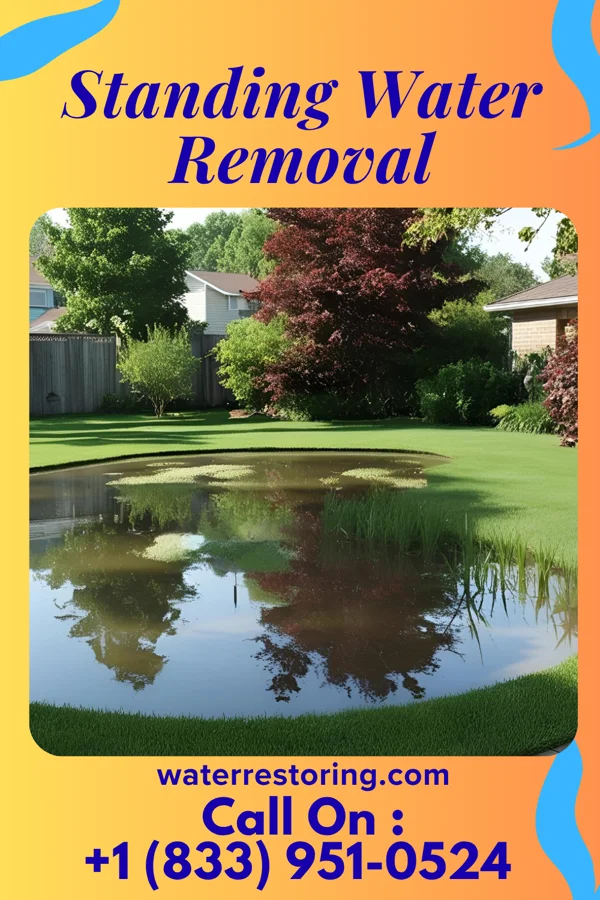 Standing Water Removal in Mount Vernon, NY